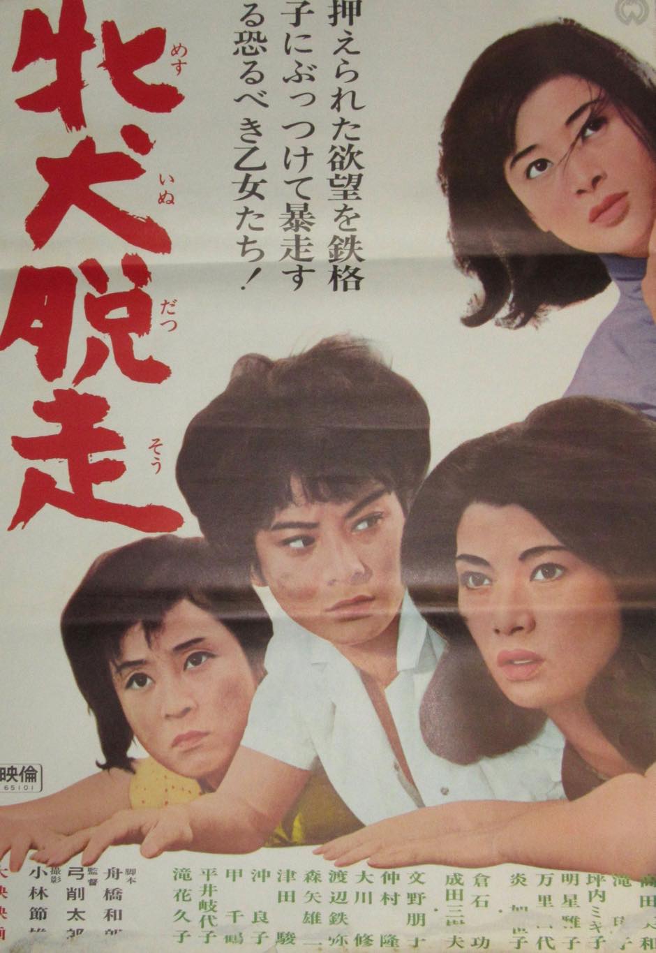 映画ポスター 牝犬脱走 大映 1965年作品 高田美和 滝瑛子 万里昌代 絶版漫画専門 じゃんくまうす