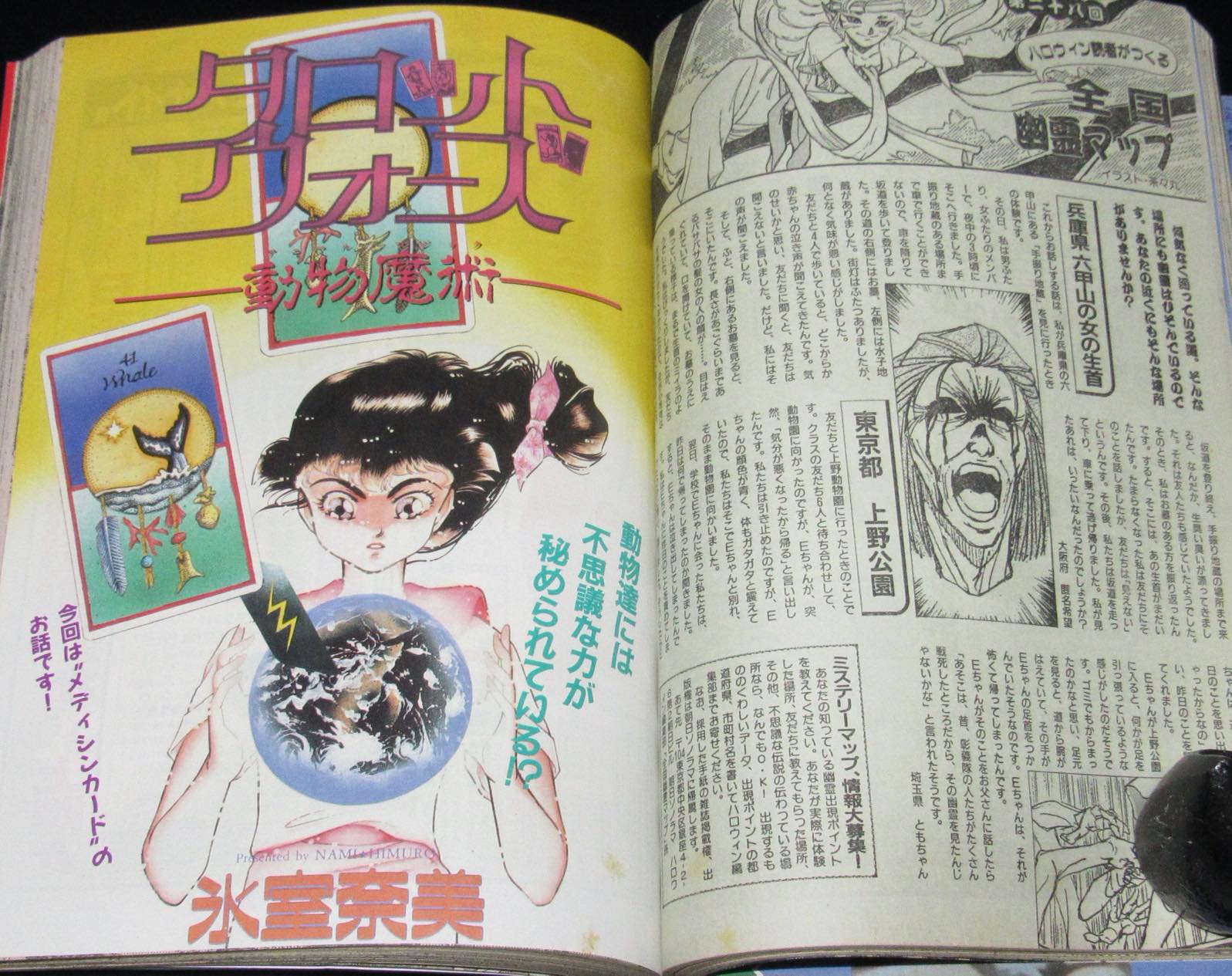 月刊ハロウィン 1991年6月号 | 絶版漫画専門 じゃんくまうす