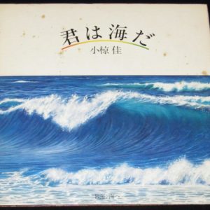 レコード】平田満 愛の狩人 キングレコード (P)1976/札幌－長崎女たち