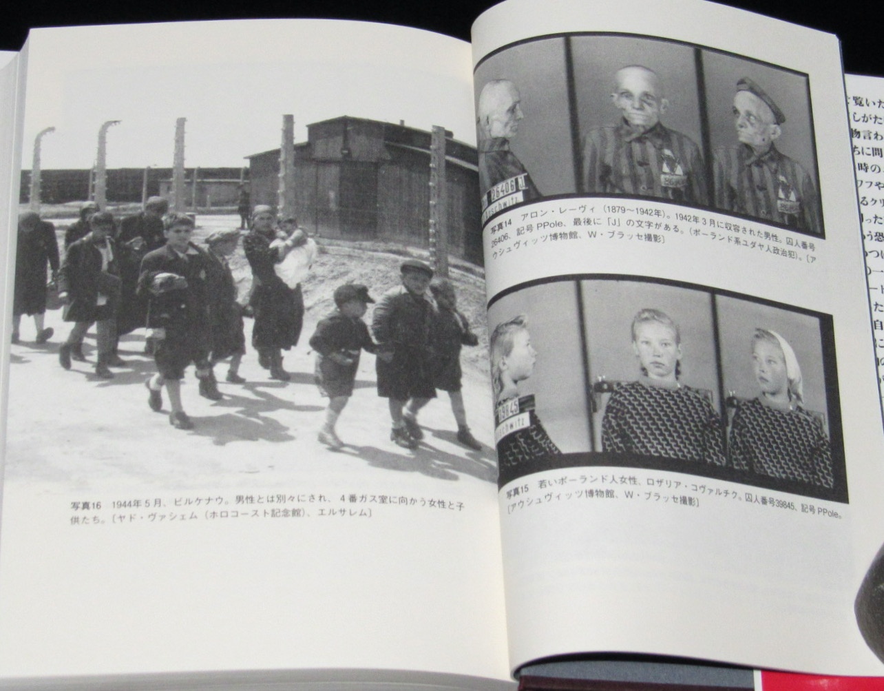 アウシュヴィッツの囚人写真家　被収容者の肖像写真を撮り続けた恐るべき体験/ナチスの人体実験　絶版漫画専門　じゃんくまうす