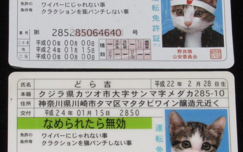 「なめ猫 運転免許証ウソ　又吉 どら吉　2枚セット　平成24年」