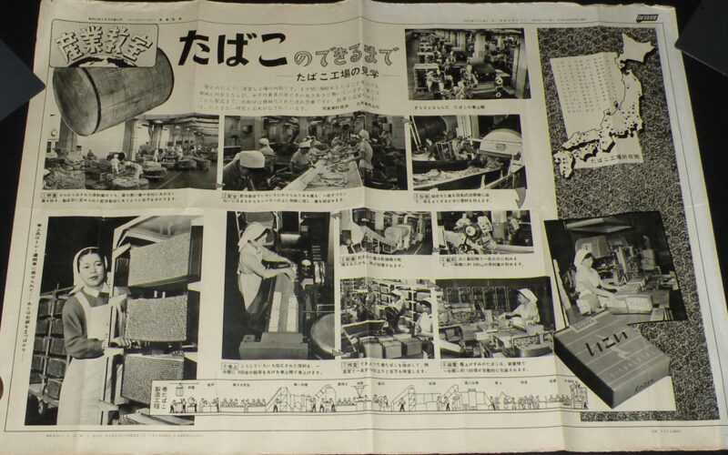 「日本写真新聞　昭和32年　産業教室　たばこのできるまで」