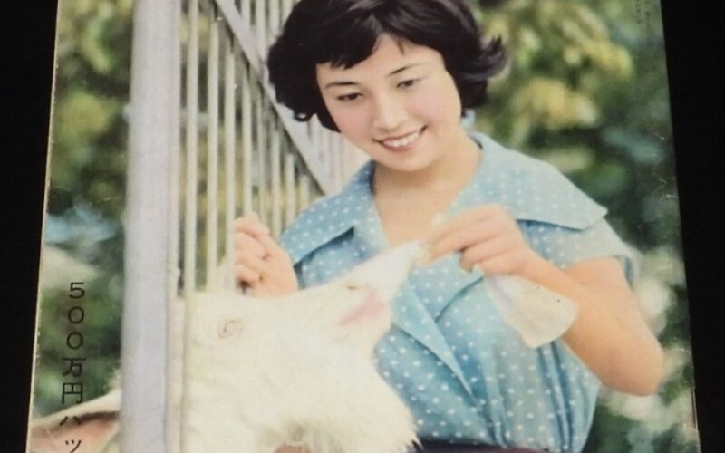 「週刊朝日　昭和34年6/7増大号」