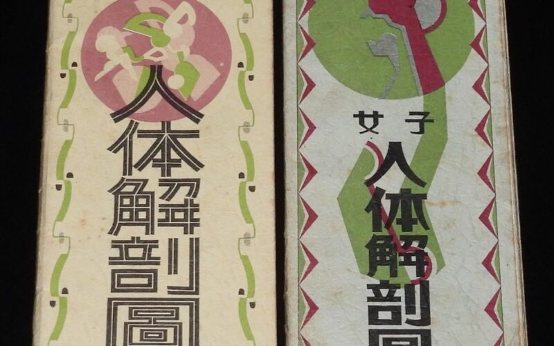 「折リ畳ミ式　人体解剖図／女子 人体解剖図　2冊セット　昭和6年」
