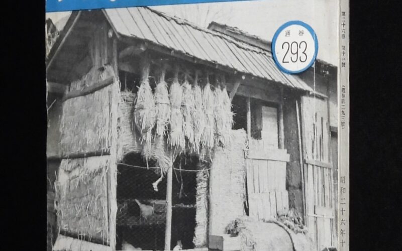 「鶏の研究　昭和26年11月号」