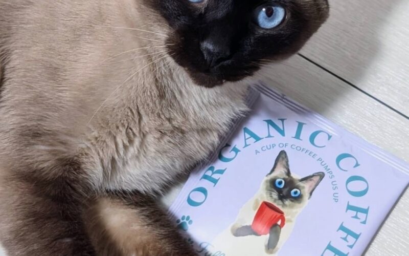 メルマガ「じゃんくまうす情報　第376号」を発行しました！