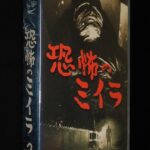 <span class="title">「【VHSビデオ】恐怖のミイラ（2）昭和36年 日テレ系ドラマ　レンタル落ち」</span>