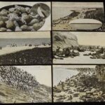 <span class="title">「【戦前絵葉書】樺太名物　海豹島　6枚セット」</span>