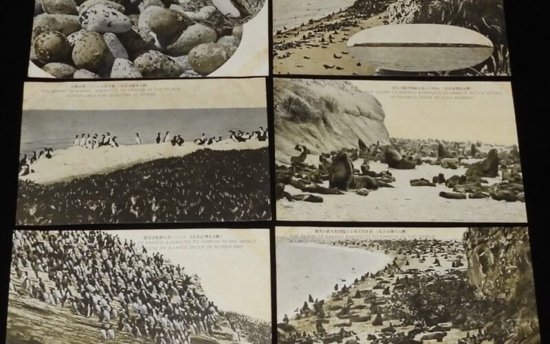 「【戦前絵葉書】樺太名物　海豹島　6枚セット」